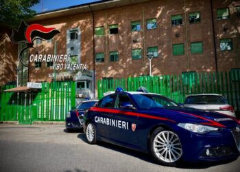 Gestione illecita di rifiuti speciali pericolosi: due denunce dei carabinieri nel Vibonese