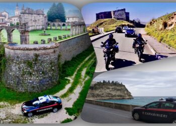 Controlli nel Vibonese: denunce, sequestri e patenti ritirate dai Carabinieri