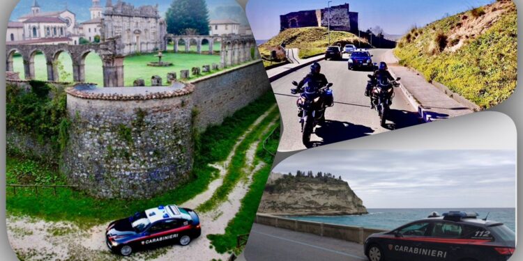 Controlli nel Vibonese: denunce, sequestri e patenti ritirate dai Carabinieri