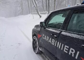 Festa abusiva in vetta all’impianto di risalta, in Sila caos e strade bloccate: nove denunciati