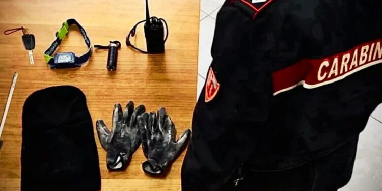 Il kit dello scassinatore rinvenuto dai Carabinieri a Lamezia in dotazione al ladro che ha tentato la fuga e si è nascosto in un cassonetto dei rifiuti