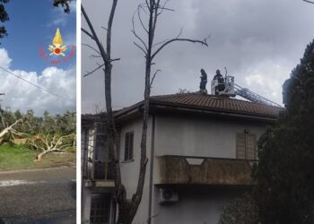 Calabria nella morsa del maltempo: oltre 90 interventi dei Vigili del Fuoco tra soccorsi e attese