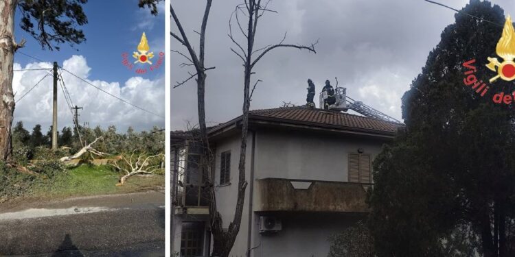Calabria nella morsa del maltempo: oltre 90 interventi dei Vigili del Fuoco tra soccorsi e attese