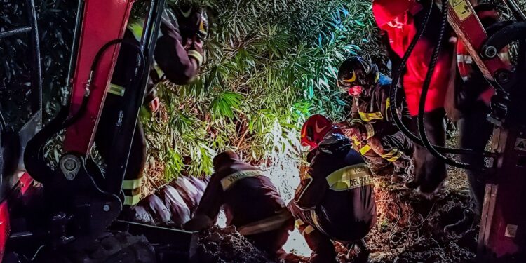 Salvataggio estremo in Calabria: due cuccioli e la loro madre tirati fuori da una tubatura