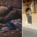 Le persone senza fissa dimora verranno ospitate all'Urban Center di Reggio Calabria per affrontare con dignità le fredde notti d'inverno