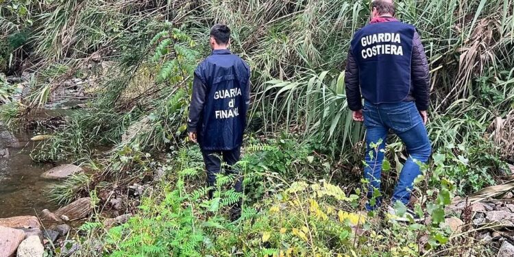 Sversamenti illeciti delle acque di vegetazione: sequestrati quattro frantoi in Calabria