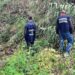 Sversamenti illeciti delle acque di vegetazione: sequestrati quattro frantoi in Calabria