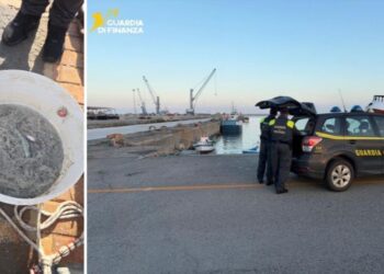 Il sequestro di novellame a Strongoli, in Calabria, ad opera della Guardia di finanza