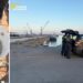 Il sequestro di novellame a Strongoli, in Calabria, ad opera della Guardia di finanza