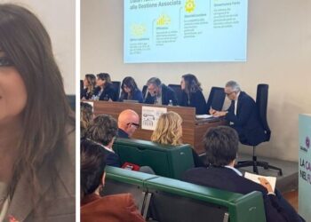 Ambiti territoriali. Straface incontra i Comuni calabresi capofila: «Si apre una nuova stagione»