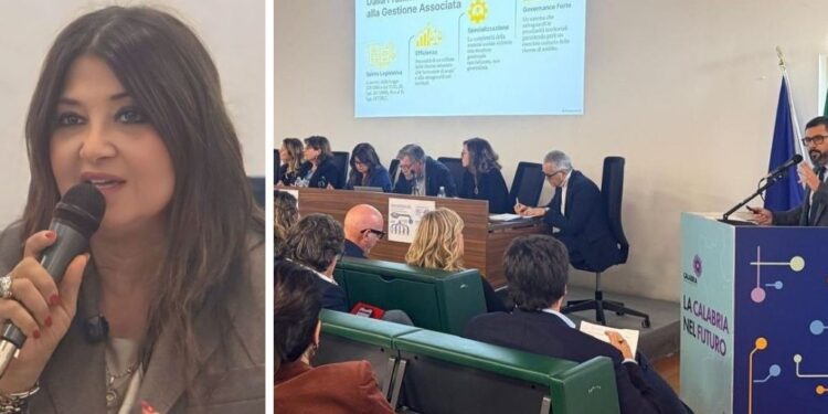 Ambiti territoriali. Straface incontra i Comuni calabresi capofila: «Si apre una nuova stagione»