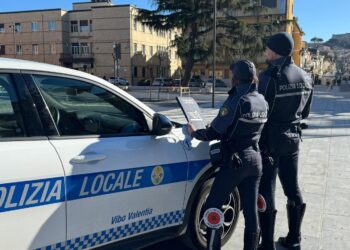 Vibo. Alimenti privi di tracciabilità o scaduti: chiusa attività per la vendita di "Kebab"