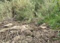 Discarica a cielo aperto zona Torre Marrana Brivadi