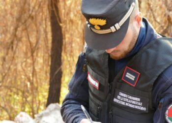 Carabinieri nucleo forestale