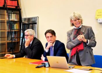 La presentazione dell'iniziativa in Calabria alla presenza di De Salazar, Greco e Da Vinci