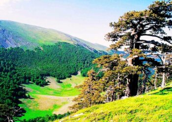 Il Parco Nazionale del Pollino