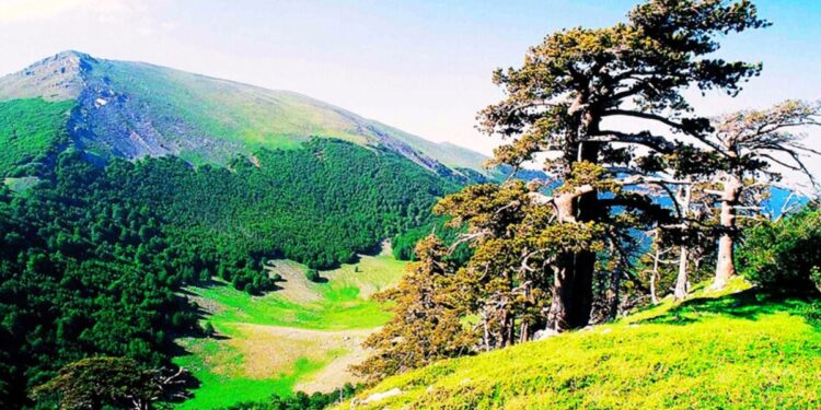 Il Parco Nazionale del Pollino