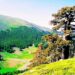 Il Parco Nazionale del Pollino