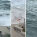 Due corpi senza vita sono stati trasportati dal mare a Tropea