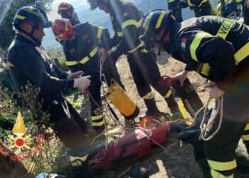 Vigili del Fuoco