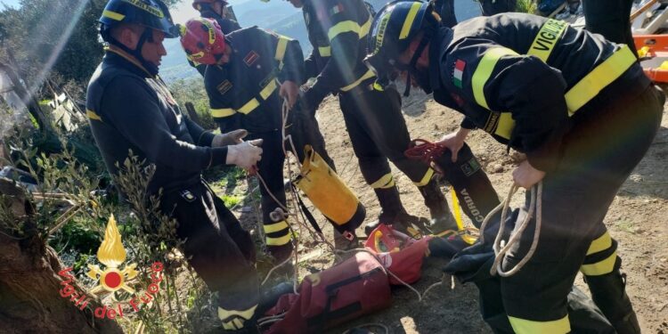 Vigili del Fuoco