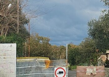Provinciale 83, “Rinascita per Zambrone” denuncia «la mancanza di manutenzione del costone»