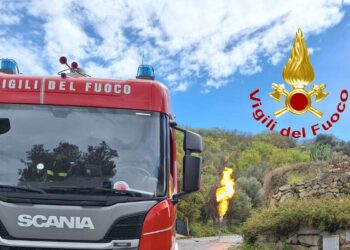 vigili a zambrone