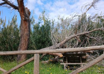 area pic-nic porto tropea