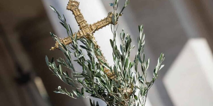 domenica delle palme