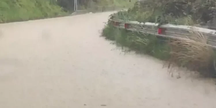 I danni del maltempo in Calabria - Foto Ansa