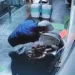 Le immagini di sorveglianza del presidio sanitario - Foto Ansa