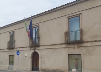 museo paleontologico