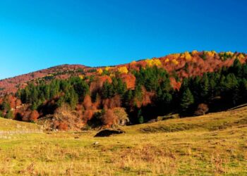 L'area montana in Sila, Calabria, nella zona del Monte Gariglione