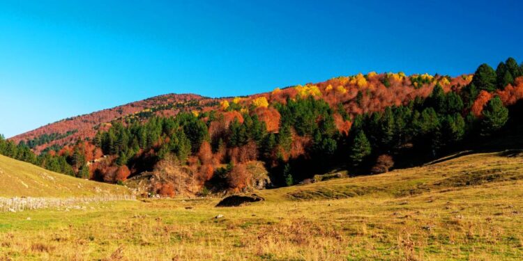 L'area montana in Sila, Calabria, nella zona del Monte Gariglione
