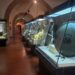 Una veduta interna del Museo archeologico di Vibo Valentia