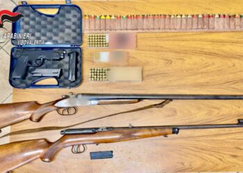 Le armi sequestrati dai carabinieri nella provincia di Vibo Valentia