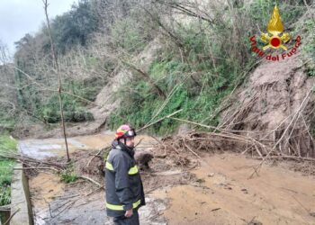 L'intervento dei Vigili del Fuoco