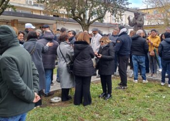 Il sir-in di protesta svoltisi davanti allo Jazzolino di Vibo Valentia