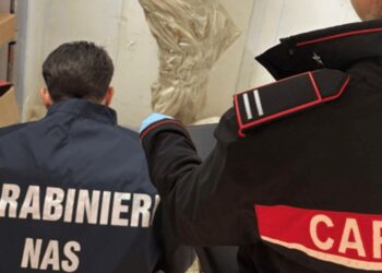 I controlli del Nas dei Carabinieri
