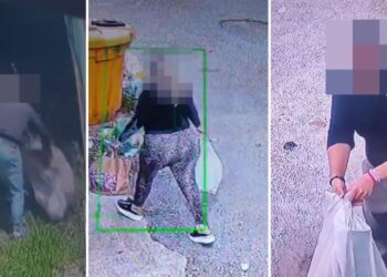 Gli incivili beccati dalle telecamere di videosorveglianza mentre gettano rifiuti nel territorio di Vibo Valentia