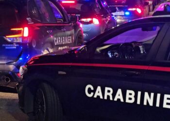 Una operazione dei Carabinieri