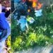I piromani beccati dai droni in Calabria