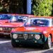 Un raduno di auto storiche Alfa Romeo