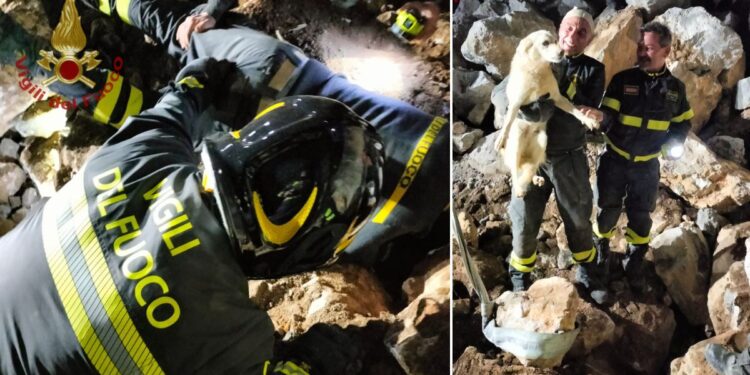 Il salvataggio del cane a Schiavonea da parte dei vigili del fuoco