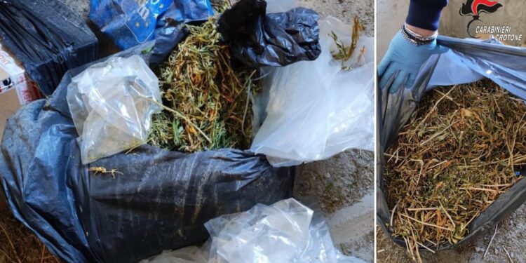 Il sequestro da parte dei Carabinieri a Crotone