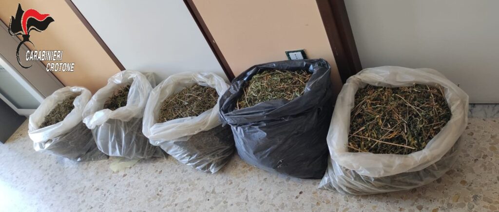 Il sequestro a carico di ignoti avvenuto a Crotone da parte dei carabinieri