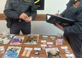 Il sequestro della Guardia di finanza in provincia di Catanzaro, in Calabria