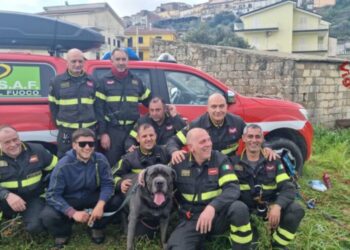 Il salvataggio del cane finito in una scarpata in Calabria