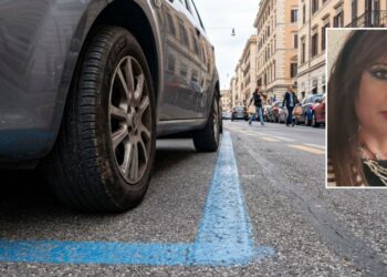 Antonella Petracca, consigliera comunale a Vibo Valentia, è intervenuta sulle multe per i parcheggi a Vibo Valentia