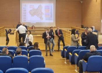 l'assemblea